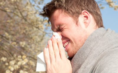 Heuschnupfen: Wenn die Pollen fliegen und die Nase juckt