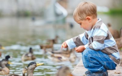 Ist eine Pflegezusatzversicherung sinnvoll für junge Leute?