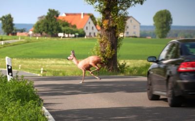 KFZ Teilkaskoversicherung